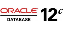 Oracle-Database-12c-696x416